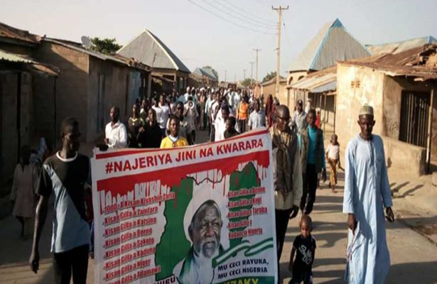 Nigeriyada Şeyx Zəkzakiyə dəstək aksiyaları davam edir – FOTO