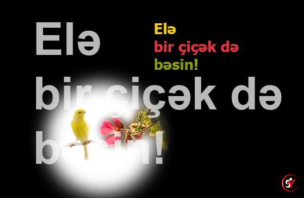 Elə bir çiçək də bəsin! (şeir)