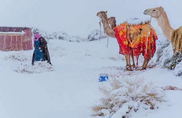 Saxara səhrasına qar yağıb – FOTO