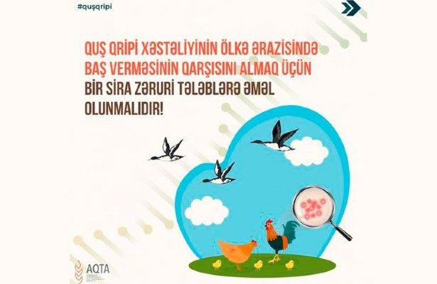 AQTA quş qripi ilə bağlı vətəndaşlara xəbərdarlıq edib