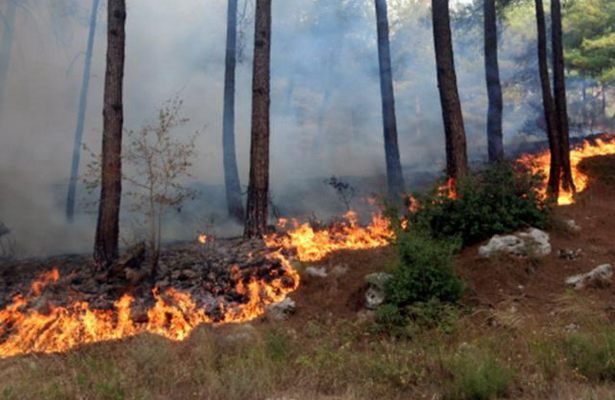 İranda meşə yanğınları, ölənlər var