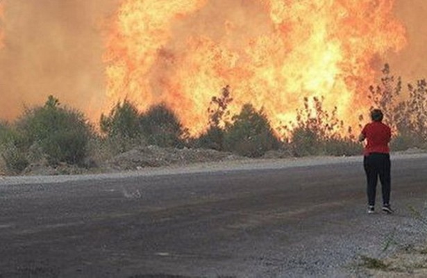 Terror təşkilatı Türkiyədə meşələrin yandırılmasına görə məsuliyyəti öz üzərinə götürdü