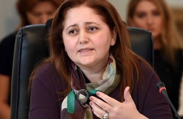 Aynur Sofiyeva: `Azərbaycanda qadınlara qarşı zorakılıq hallarının sayı artmayıb`