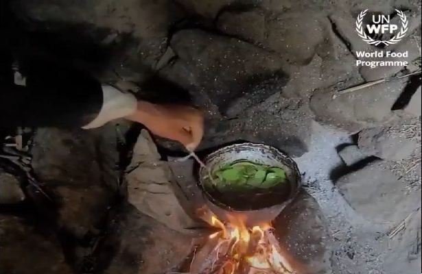 Yəmənlilərin ağac yarpaqları ilə qidalandıqları vurğulandı