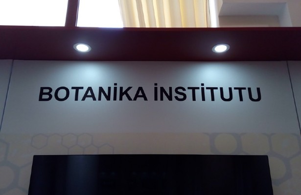 Botanika İnstitutuna yeni direktor əvəzi təyin edilib