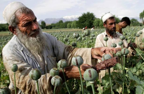 Taliban Avstraliyanı ifşa etdi