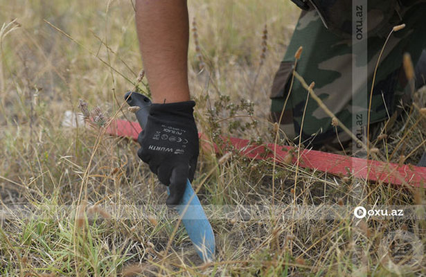 Azad edilmiş ərazilərdə ötən həftə aşkarlanan minaların sayı AÇIQLANDI – FOTO