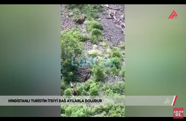 Hindistanlı turistin itdiyi dağ ayılarla doludur – ŞOK-Video