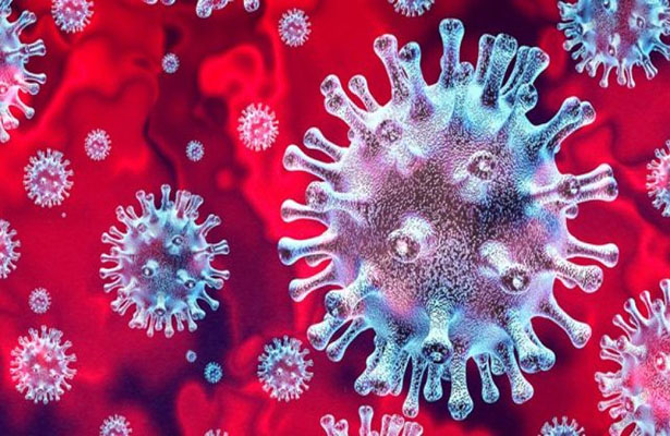 Yeni virus ocağı yenə Çində üzə çıxdı – İNFEKSİYA