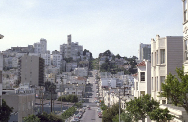 San-Fransiskoda meymunçiçəyi ilə bağlı fövqəladə vəziyyət elan edildi