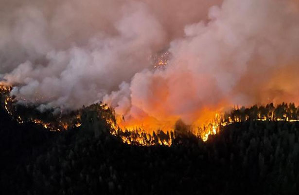 Fransada 3 200 ha meşə sahəsi yanıb