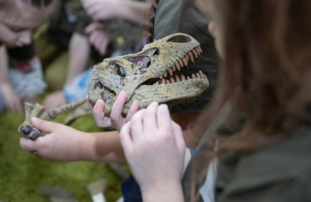 Argentinada yeni dinozavr növünün qalıqları tapılıb