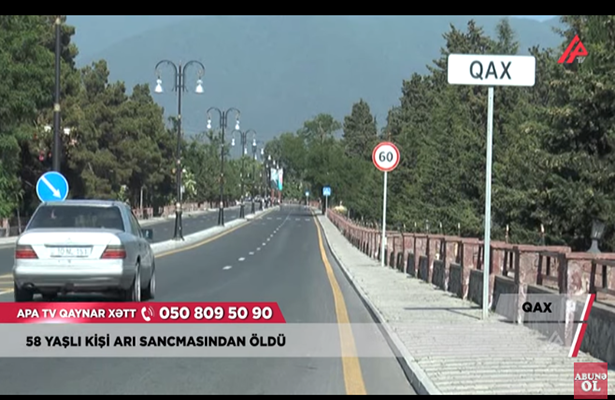 Qaxda 58 yaşlı kişi arı sancmasından öldü-Video