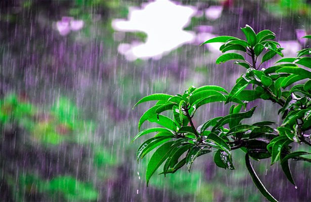 Yağış yağacaq, dolu düşəcək – HAVA XƏBƏRDARLIĞI