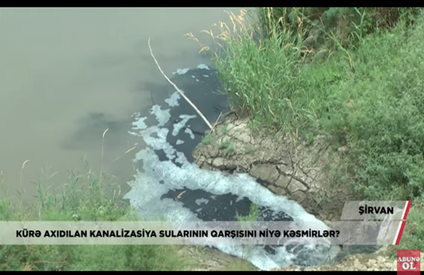 Şirvanda ekoloji fəlakət: “İçdiyimiz suya çirkab suları qarışır”-Video