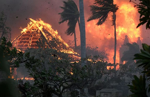 Havay adalarında meşə yanğınları nəticəsində ölənlərin sayı 36 nəfərə çatıb