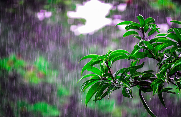 Bir neçə əraziyə leysan xarakterli yağış yağıb – FAKTİKİ HAVA