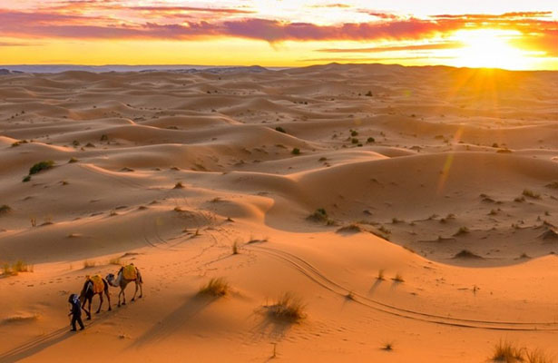 Alimlər Namib səhrasında 50 il əvvəl yoxa çıxdığı güman edilən xalqı aşkar ediblər