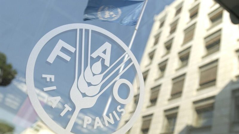 FAO-nun gündəliyi İranı region ölkələrinin ərzaq təhlükəsizliyi mərkəzinə çevirməkdir