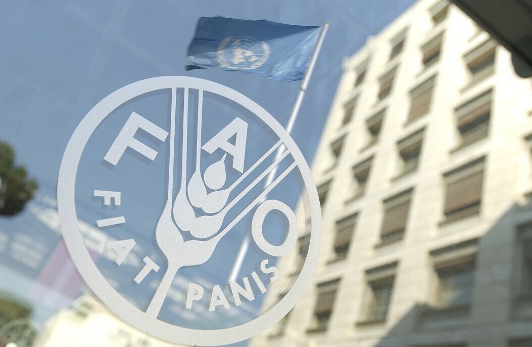 FAO-nun gündəliyi İranı region ölkələrinin ərzaq təhlükəsizliyi mərkəzinə çevirməkdir