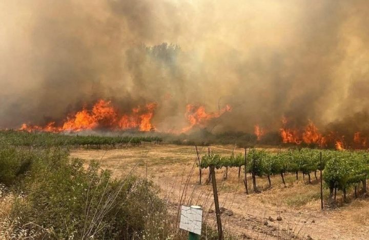 Ramallah İsrailə yanğınsöndürmə yardımı təklif edir, lakin heç bir cavab almır