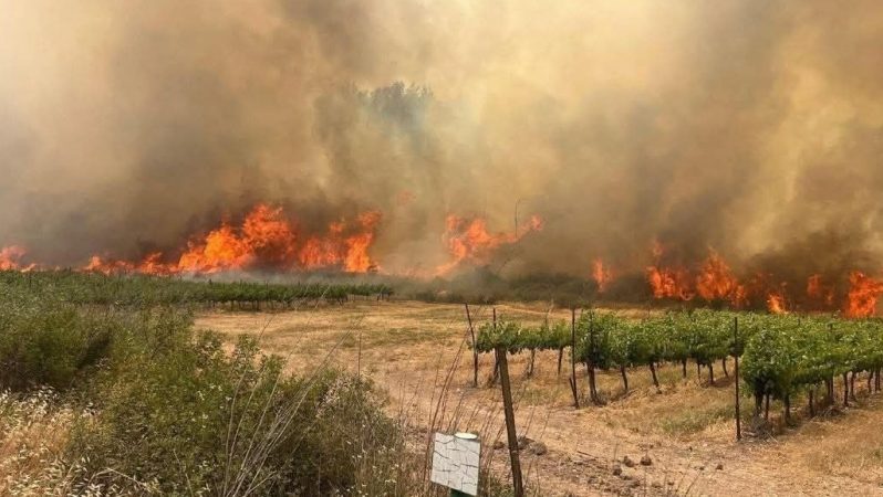 Ramallah İsrailə yanğınsöndürmə yardımı təklif edir, lakin heç bir cavab almır