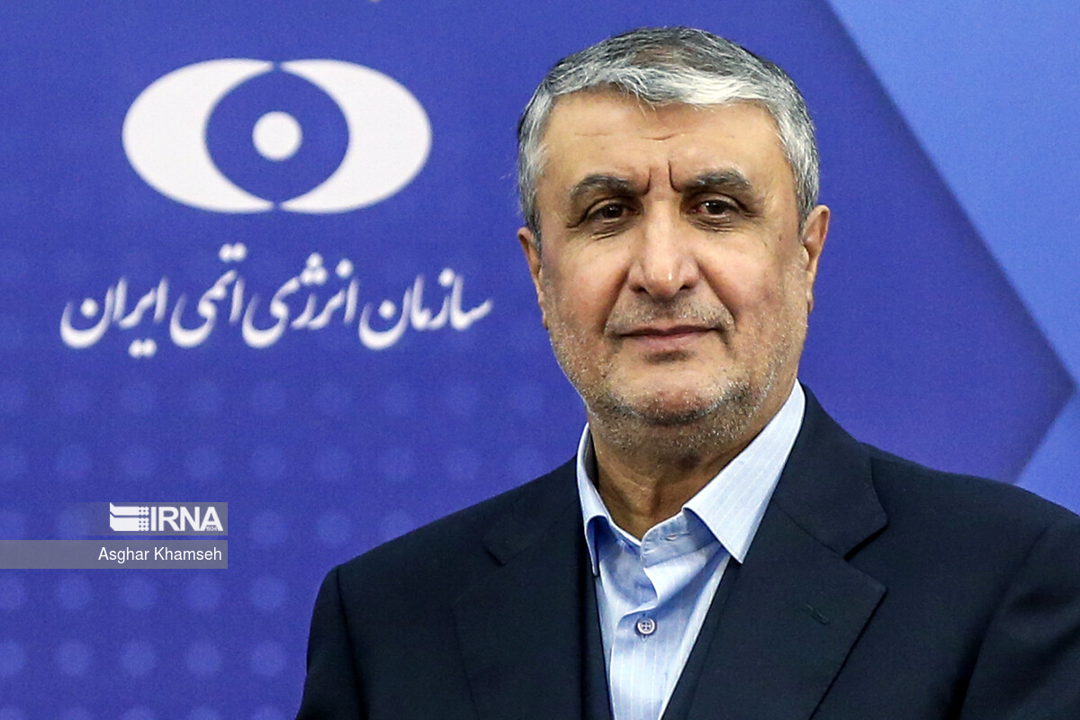 İranın Atom Enerjisi Təşkilatının rəhbəri: Biz qanunsuz siyasi təzyiqlərə boyun əyməyəcəyik