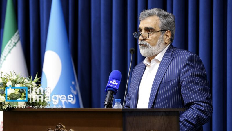 Kəmalvəndi: Qətnamə qəbul olunsa, İran Agentliklə əməkdaşlığa yenidən baxacaq