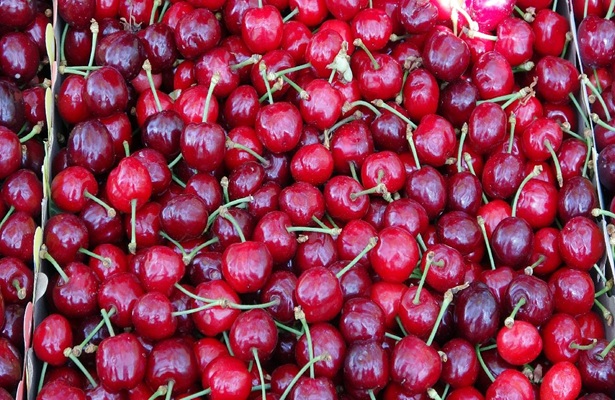 Gündə neçə gilas yemək olar? Cavab həkimdədir