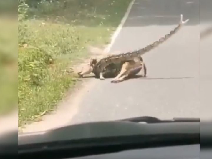 Belə bir vəziyyətdə sən nə edərdin?