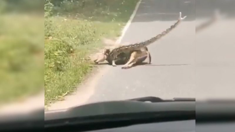 Belə bir vəziyyətdə sən nə edərdin?