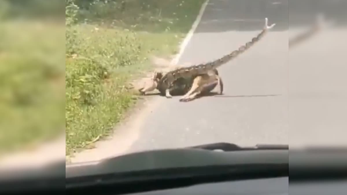 Belə bir vəziyyətdə sən nə edərdin?