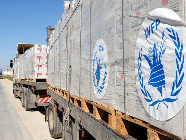 Qətər Qəzza zolağına 49 yük maşını humanitar yardım göndərib