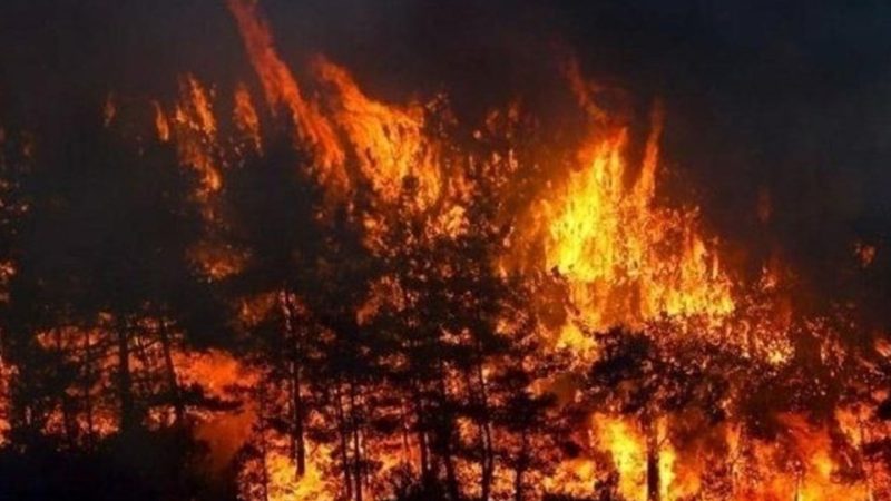 Türkiyənin Alaçatı bölgəsində 48 saatdir davam edən yanğın kameralar tərəfindən qeydə alındı! (Video İzlə)