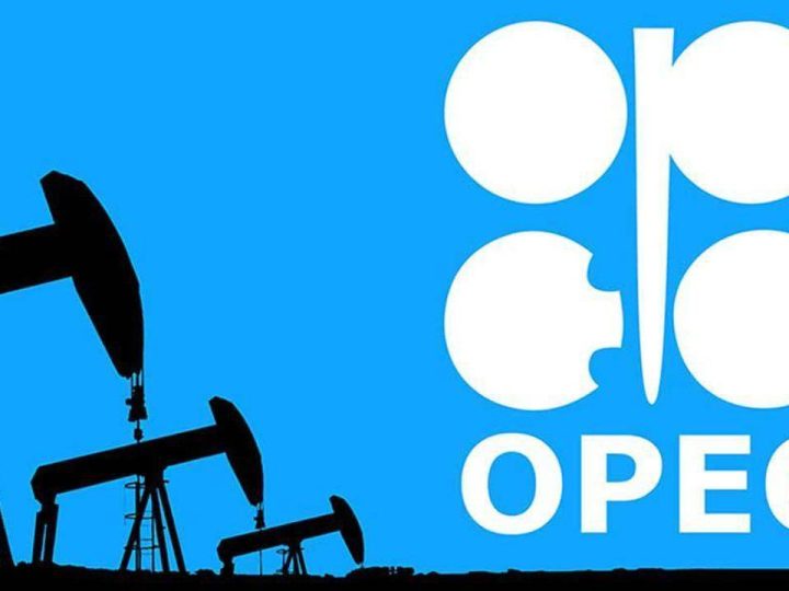 OPEC: Qazaxıstan və Azərbaycan Avropanın enerji təhlükəsizliyində strateji rol oynayacaq