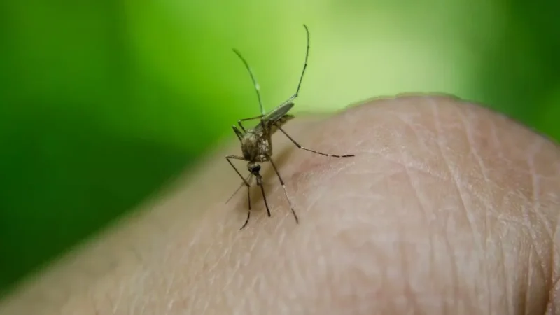 Çində təhlükəli virus yayıldı: Bir aya minlərlə insan yoluxub