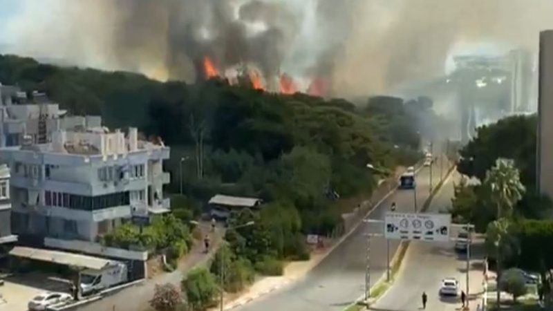 Türkiyədə Meşə Yanğınları Çoxalmağa başlayır! (Video İzlə)