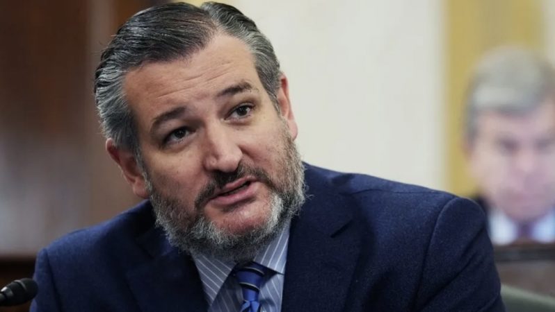Texas senatoru Müsəlman Qardaşlarının terror təşkilatı elan edilməsini nəzərdə tutan qanun layihəsini təklif edir